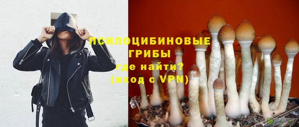 гидропоника Верхний Тагил
