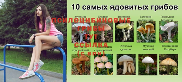 mdma Волосово