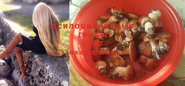 гидропоника Верхний Тагил