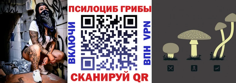 Купить где  Свободный  Псилоцибиновые грибы прущие грибы 